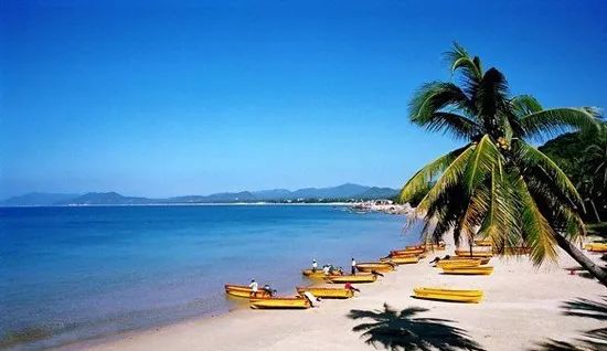 海南小巷风情,海口特色小店探幽