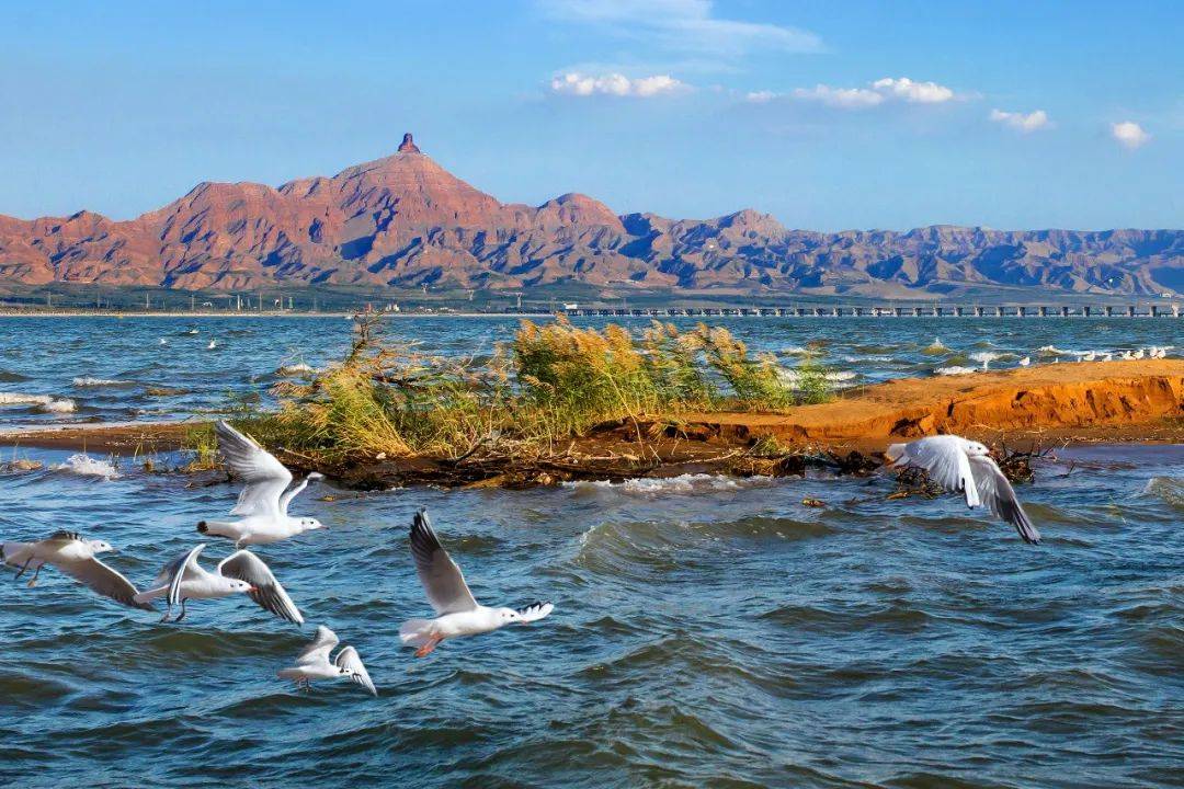 乌海，城市变迁中的反思与启示